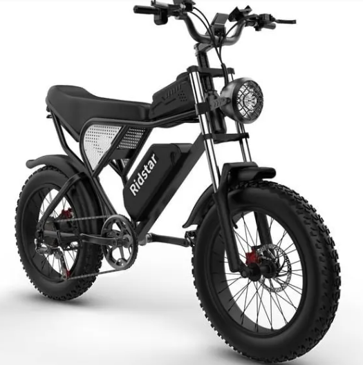 Ridstar Electric Bike for Adults 1500w 33mph,48v 20ah Electric Bicycle,20″ Fat Tire,7-Speed Mountain Bike Ul2849